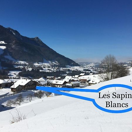 Apartament Les Sapins Blancs Vacheresse Zewnętrze zdjęcie