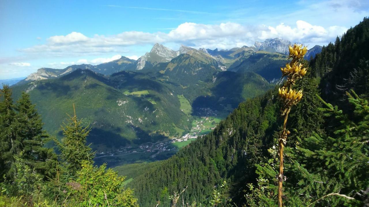 Apartament Les Sapins Blancs Vacheresse Zewnętrze zdjęcie