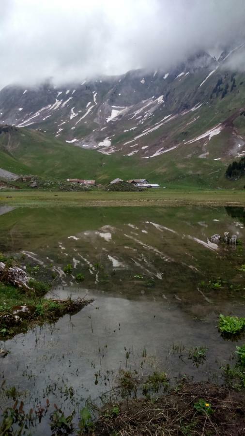 Apartament Les Sapins Blancs Vacheresse Zewnętrze zdjęcie